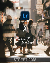 Charger l'image dans la galerie, pierre t lambert lightroom street photography presets 2018