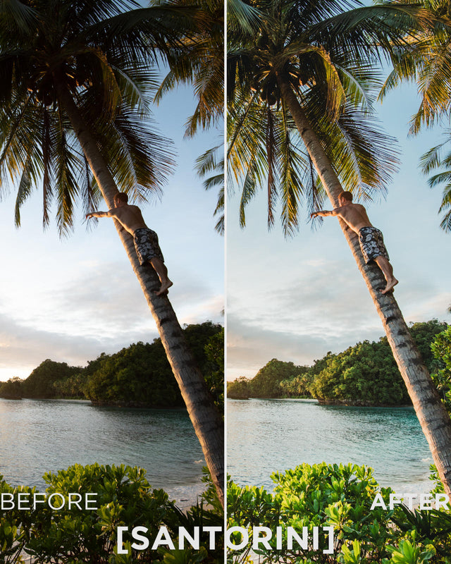 Collection Master I de Presets Lightroom (30 Presets + Profils)