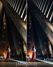 Charger l'image dans la galerie, Collection Master I de Presets Lightroom (30 Presets + Profils)