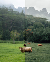 Charger l'image dans la galerie, Collection Master II de Presets Lightroom: 30 presets par Pierre T. Lambert
